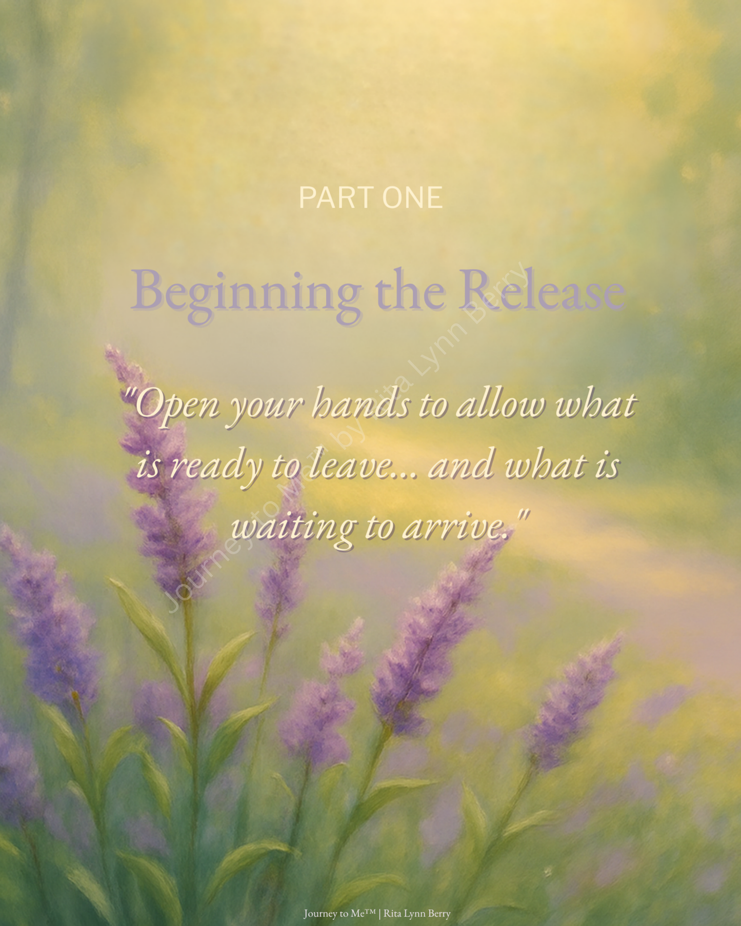Letting Go – Release & Renew | 7-Day Guided Journey (digital download)